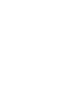 BEELDMERK_NETKEYSecurity-Wit